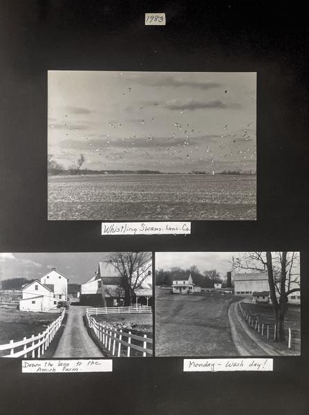 1982 - 1985 Family reunion